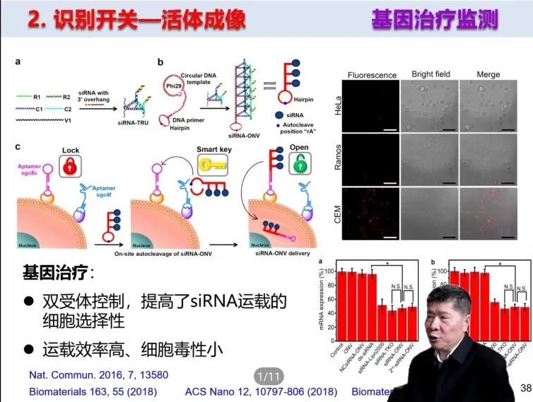 皇冠体育