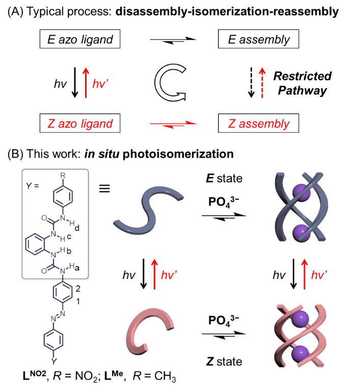 皇冠体育